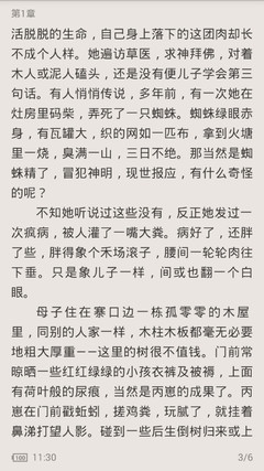 在菲律宾什么行为叫打黑工，在菲律宾打黑工有什么影响_菲律宾签证网